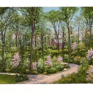 Vintage Postcard - Kingston Pike - Knoxville TN  1941